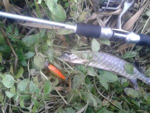 20171021_103049.jpg