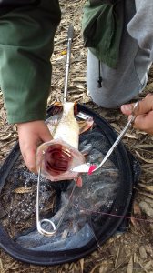 20171021_135814.jpg