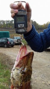 20171021_144212.jpg