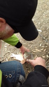 20171021_155652.jpg