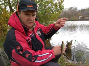 IMG_20171022_124718.jpg