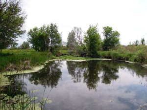 Мжа024.jpg
