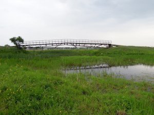 Мжа032 мост через болото.jpg