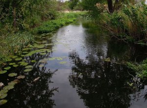 Мжа026.jpg