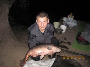 IMG_2249.jpg