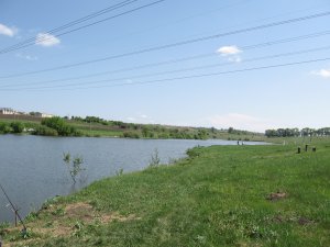 IMG_5250.JPG