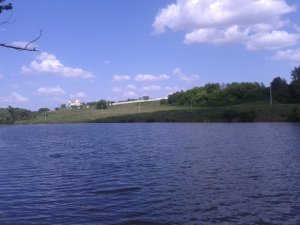 20120522_145446.jpg