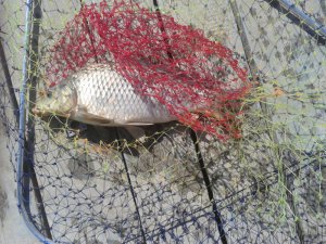 20120522_092420.jpg