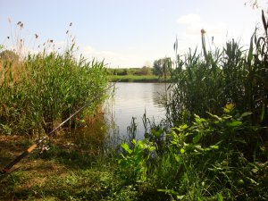 DSC05377.JPG