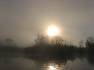 IMG_3737.JPG