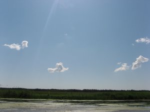 IMG_3745.JPG