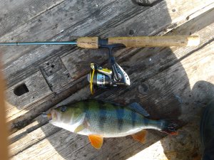 2012-05-28 07.45.48.jpg