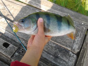 2012-05-28 07.47.10.jpg