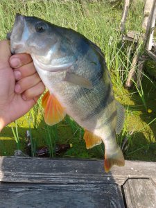 2012-05-28 07.45.37.jpg