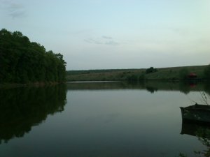 DSC_0245.JPG