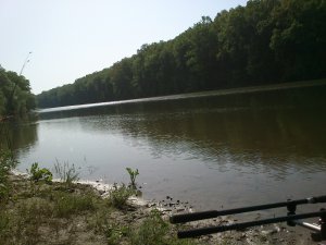 DSC_0250.JPG