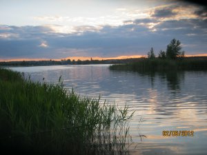 IMG_2050.JPG