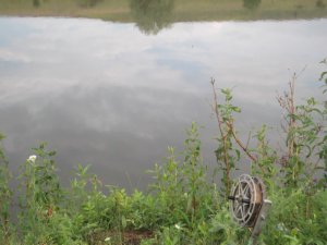 DSCF4031.JPG