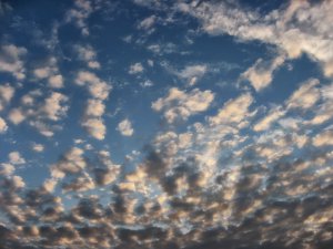 IMG_3800.JPG