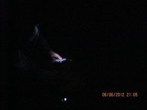 IMG_0828.jpg