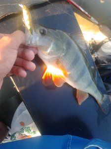 2012-06-12 05.59.34.jpg