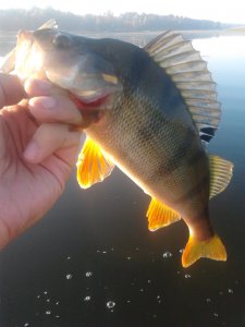 2012-06-12 05.59.04.jpg