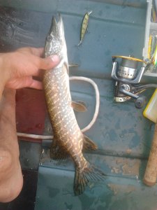 2012-06-12 06.09.15.jpg