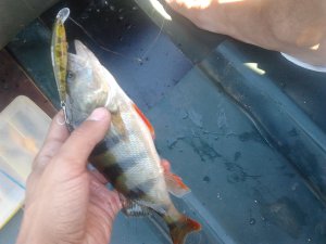 2012-06-12 07.56.58.jpg