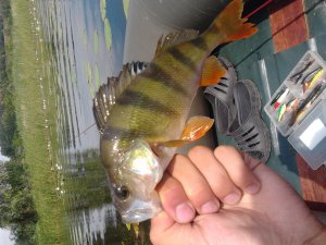 2012-06-12 09.50.27.jpg