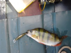 2012-06-12 09.50.43.jpg