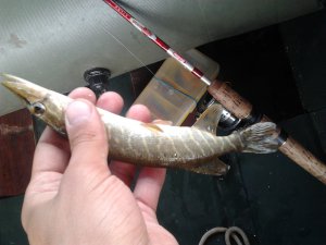 2012-06-12 10.37.56.jpg
