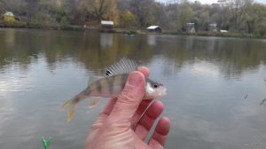 20171022_135230.jpg