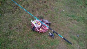 WP_20171022_005[1].jpg