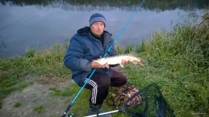 WP_20171022_015[1].jpg
