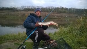 WP_20171022_017[1].jpg
