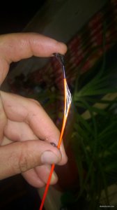 WP_20171022_020[1].jpg