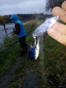 IMG_20171023_073323.jpg