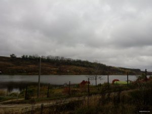 IMG_20171023_104842.jpg