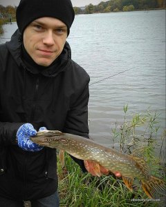 IMG_20171023_163506.jpg
