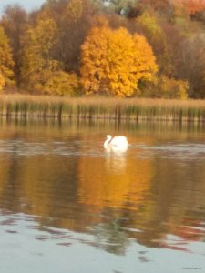 IMG_20171021_122715.jpg