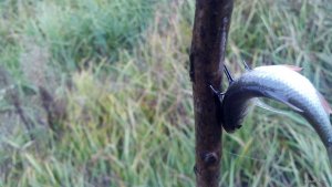 IMG_20171022_083840_873.jpg