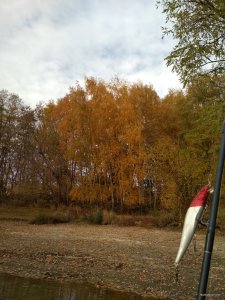 IMG_20171021_130825.jpg