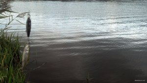 IMG_20171022_133811_119.jpg