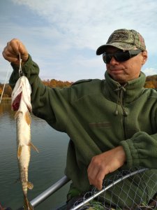 IMG_20171021_124231.jpg