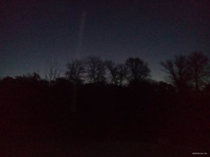 DSC_0142.jpg
