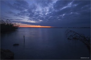 _MG_9856.jpg