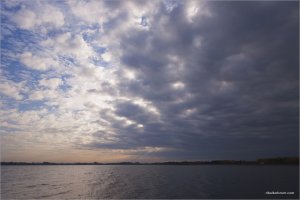 _MG_9891.jpg