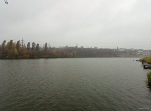 P71026-142023.jpg