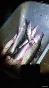 20171023_182244.jpg
