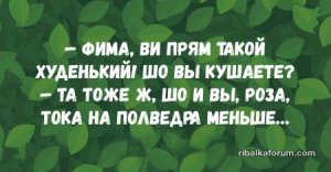 1475271871_1-125-1.jpg